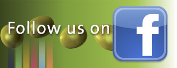 Follow us on Facebook