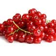 Red berries, fresh