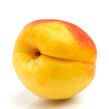 Apricot, fresh