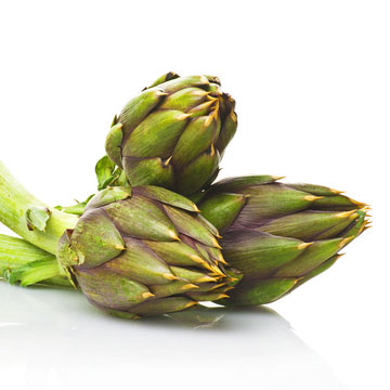Artichokes, raw