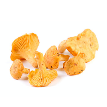 Chanterelle, raw