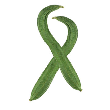 Okra, Chinese, raw