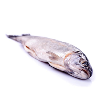 Trout, mixed species, raw
