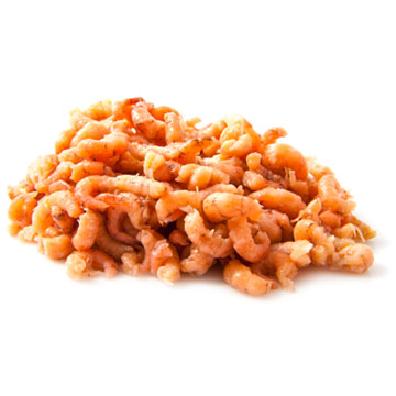 Shrimp, gray or brown