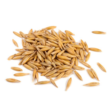 Oats, raw