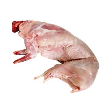 Rabbit, game meat, domesticated