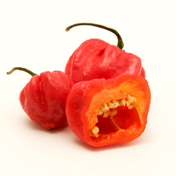 Chili peppers, pimento, raw