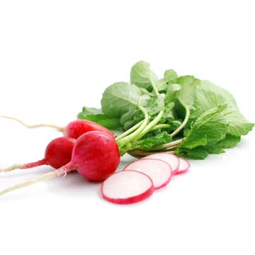 Radishes, fresh