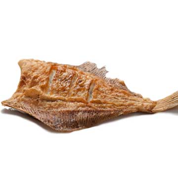 Plaice, flatfish, cooked