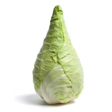 Cabbage, oxheart, raw