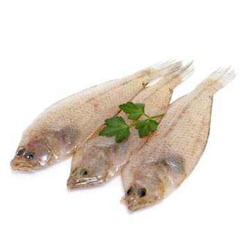 Flatfish, sole, raw