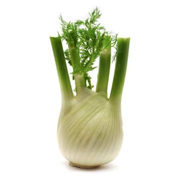 Fennel, bulb, raw