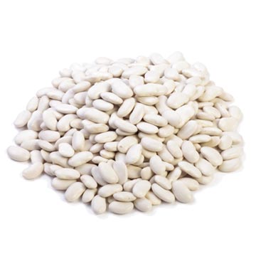 Beans, white, cooked
