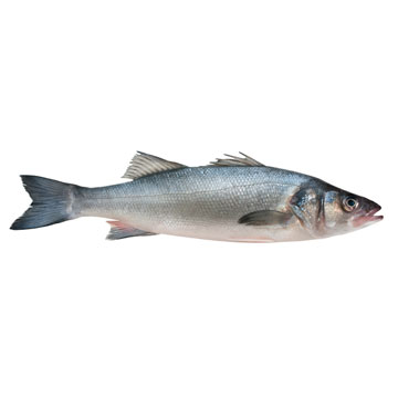 Sea bass, mixed species, raw