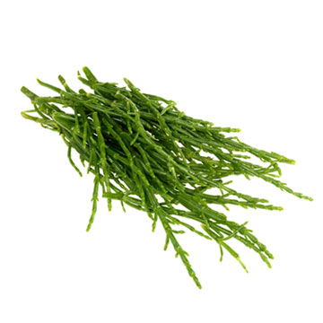 Samphire, fresh, raw