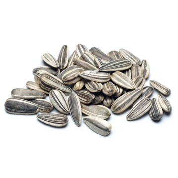 Sunflower seed kernels