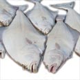 Halibut, Atlantic and Pacific, white, raw