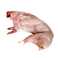 Rabbit, game meat, domesticated