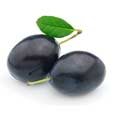 Plums, fresh