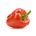 Bell pepper, mixed varieties