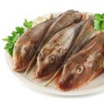 Gurnard, fish, cooked Gurnard, fish, cooked
