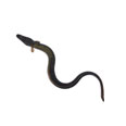 Eel, mixed species, raw