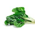 Chard, swiss, raw