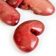Pork, kidneys, raw