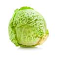 Cabbage, white, raw