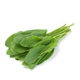 Sorrel, raw
