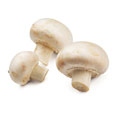 Mushrooms, white, raw