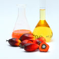 Palm oil