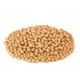 Soybeans, dried